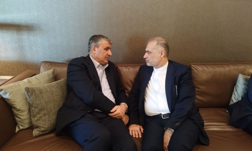 رئیس سازمان انرژی اتمی وارد مسکو شد