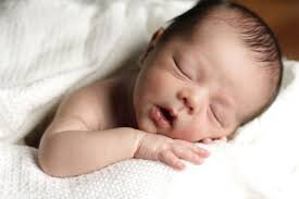 این طرح‌ها زاد و ولد را افزایش می‌دهد؟