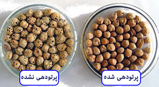 پرتودهی مواد غذایی (انواع+مزایا+معایب+اثرات) - علم فود