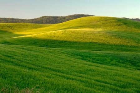 ماجرای احداث جاده اختصاصی در قلب کوهستان مُجن چه بود؟ ماجرای احداث جاده اختصاصی در قلب کوهستان مُجن چه بود؟