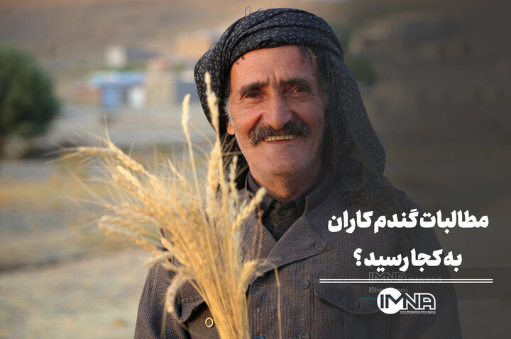 مطالبات گندم‌کاران به کجا رسید؟