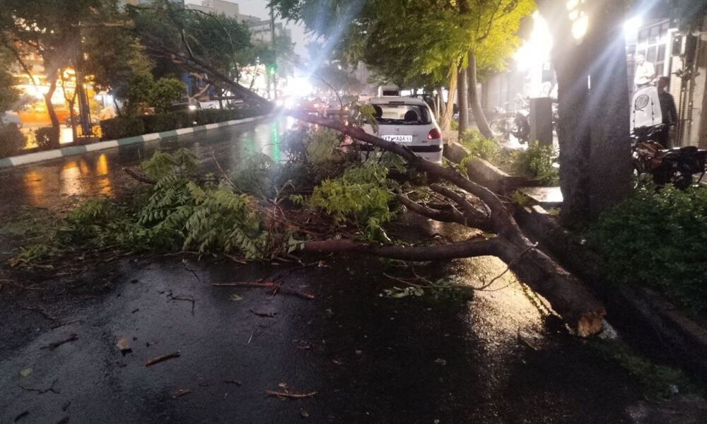 طوفان شدید، احتمال شکستن درختان و یخبندان؛ شرایط تهران در این تاریخ خطرناک است