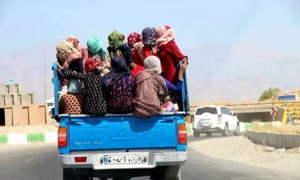 رنج‌نامه زنان کارگر فصلی؛ زیر تش گرما و تازیانه‌های سرما در جست‌وجوی یک لقمه نان