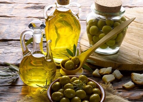 صادرات ۱۴۶۰ تن روغن زیتون ایران / برندسازی و توسعه فرآوری راهبرد برای جلوگیری از خام فروشی