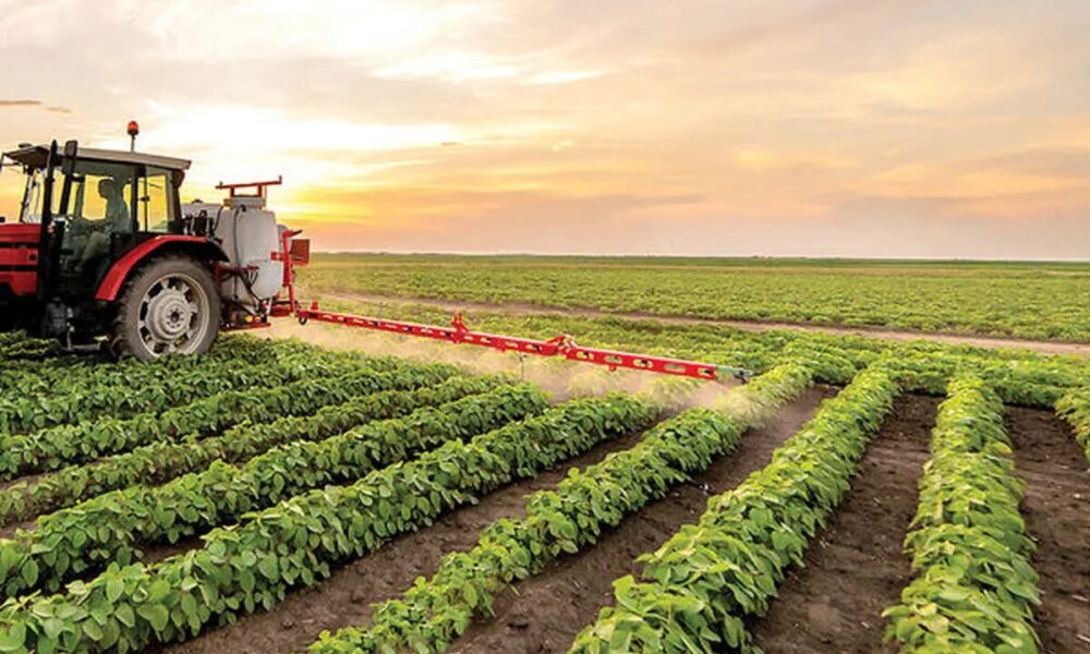 الگوی کشت ملی؛ مسیر کشاورزی پایدار ایران