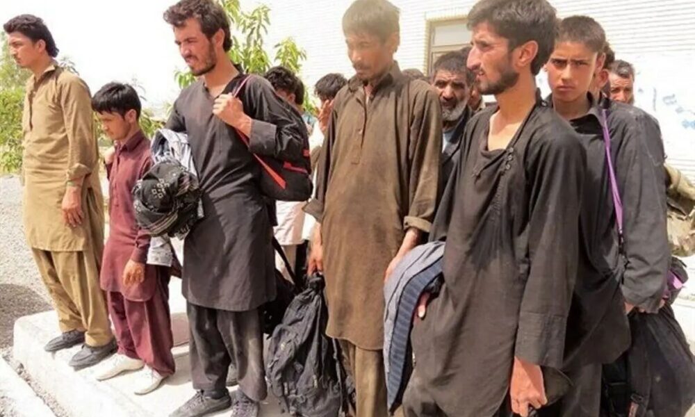 پای افغان‌ها دوباره به بازار کار باز شد؛ قانون چه می‌گوید؟