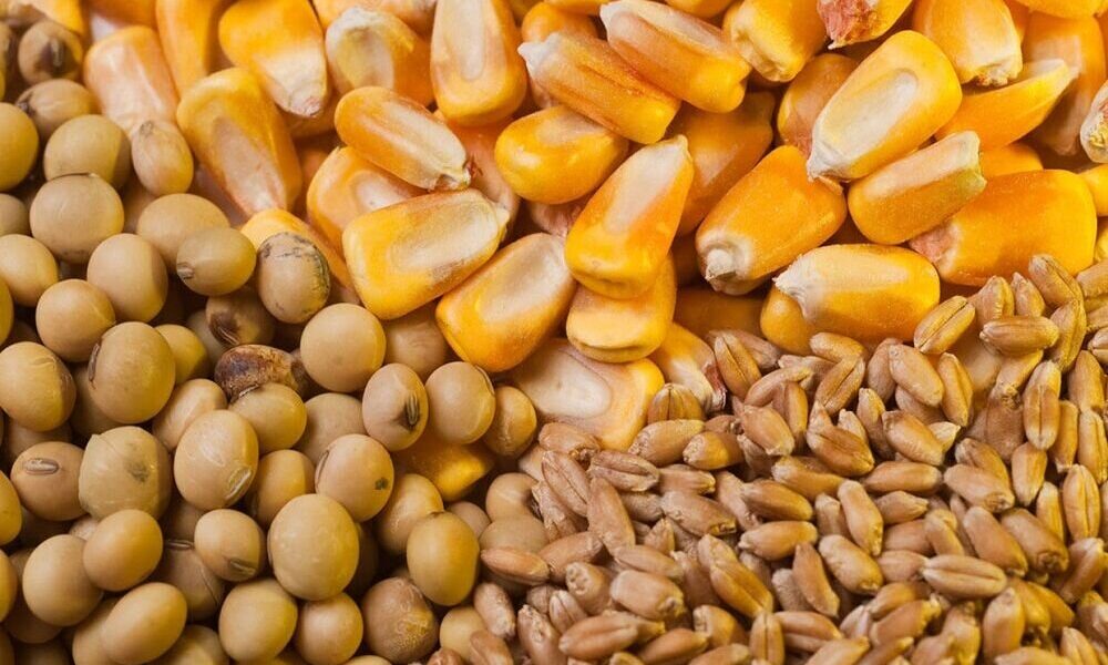 برخورد قضایی با دریافت پشت فاکتوری نهاده‌های دامی در بازارگاه/تامین ارز نهاده‌های وارداتی