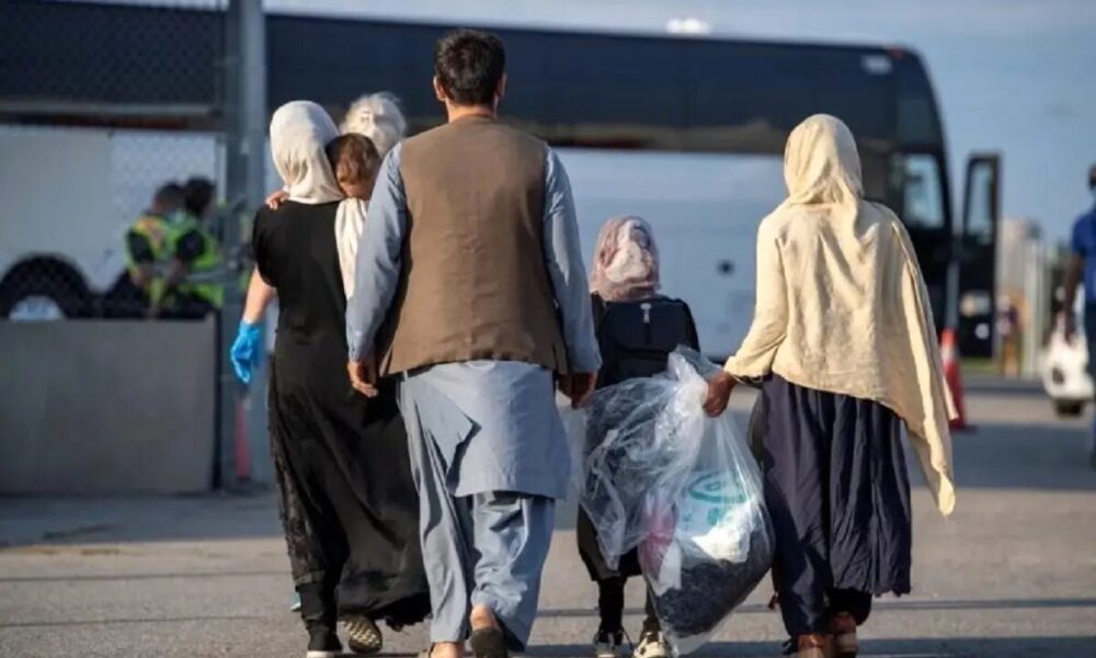 اتباع افغانستانی دوباره برگشتند؟