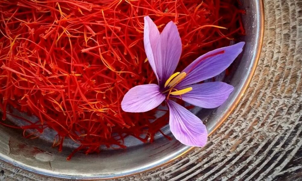 هدف‌گذاری تولید ۵۰۰ هزار تنی زعفران در برنامه هفتم پیشرفت