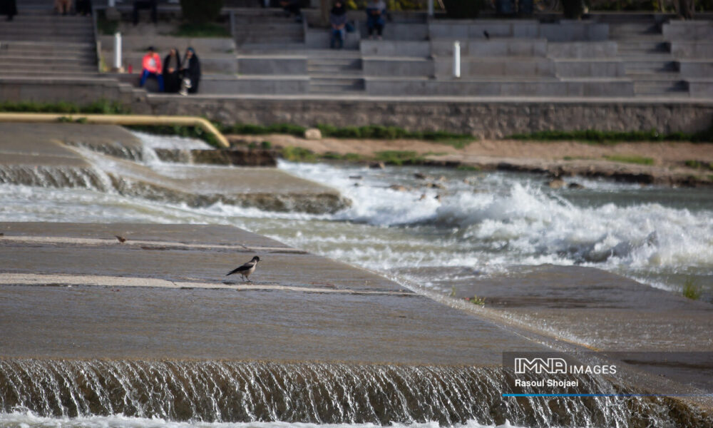 راهی علمی و مشارکتی برای احیای زاینده‌رود