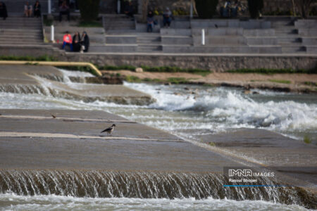 راهی علمی و مشارکتی برای احیای زاینده‌رود