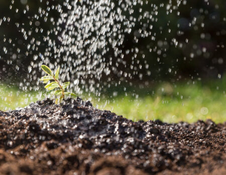 سامانه‌های آبیاری نوین؛ کلید صرفه‌جویی و رونق کشاورزی