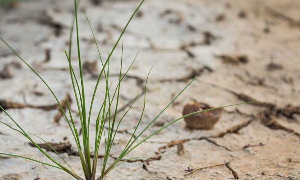 اصفهان و امید به احیای طبیعت اصفهان و  امید به احیای طبیعت