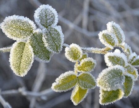 دمای زیر صفر درجه برای ۷ استان کشور در روزهای آینده +اسامی