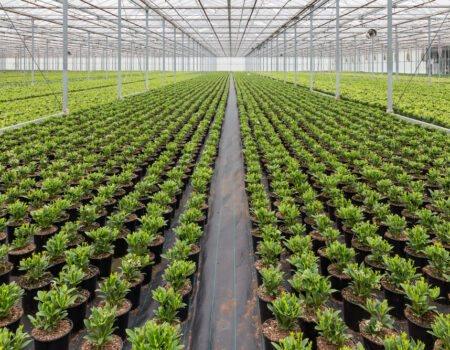 کاهش ۲۶ میلیارد مترمکعبی آب کشاورزی/ کشاورزان قربانی سیاست‌های غلط گذشته