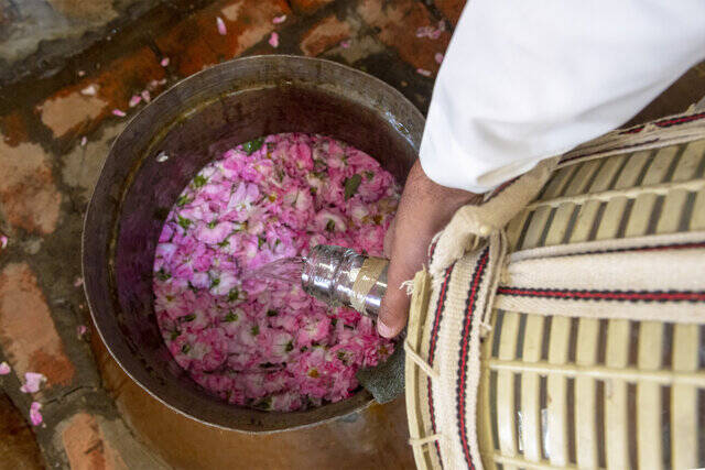 ماجرای خبر «ثبت گل محمدی به‌نام عربستان» چیست؟