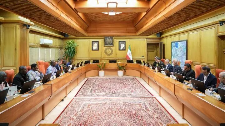 وزیر کشور: هیچ محدودیتی در توسعه روابط با کشورهای آفریقایی نداریم وزیر کشور: هیچ محدودیتی در توسعه روابط با کشورهای آفریقایی نداریم