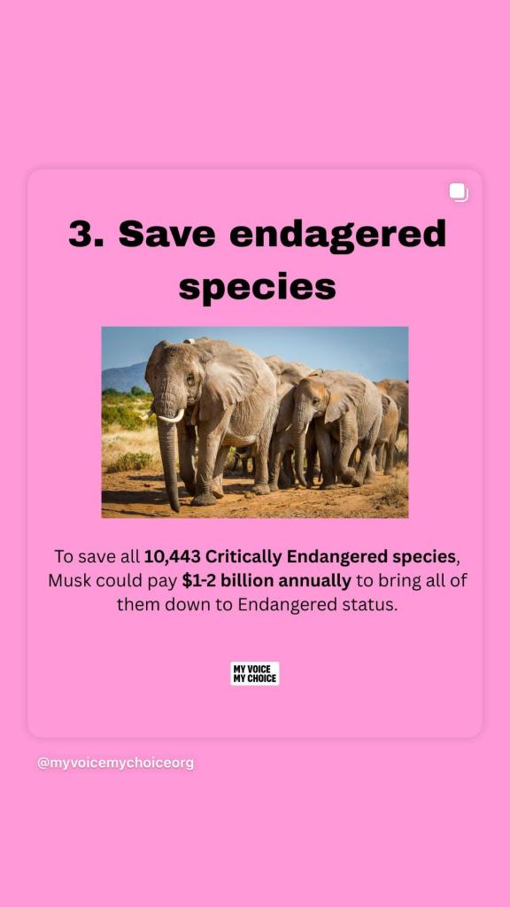 انتقاد تند بیلی آیلیش از ایلان ماسک: ««ثروتت را برای گرسنگان و غزه خرج کن بزدل!»