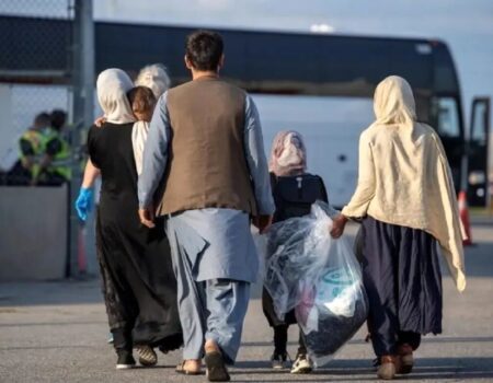 آمار شوکه‌کننده حضور اتباع خارجی در کشور؛ آقای پزشکیان شجاع باشید و اخراجشان کنید!