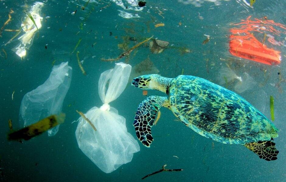 کشتی های کروز و چالش‌های زیست محیطی