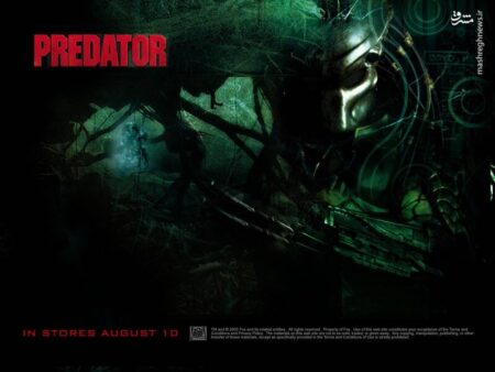 شکارچی تنها: چرا فرنچایز «غارتگر» در جهان‌سازی شکست خورد؟/ «از آرنولد تا انیمیشن؛ چرا هیچ‌کس دیگر از شکارچی‌های فضایی نمی‌ترسد؟