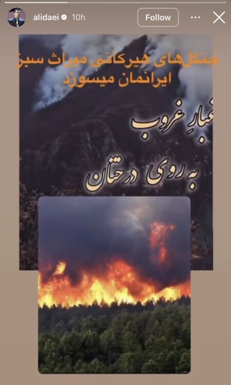 پیام علی دایی در پی ادامه آتش‌سوزی جنگل‌های هیرکانی +عکس