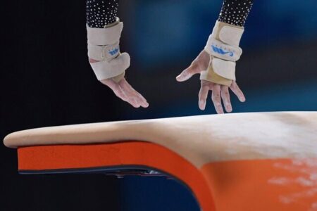 فدراسیون ژیمناستیک را پلمب کردند!