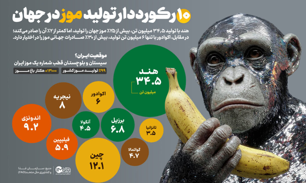 بزرگ‌ترین تولیدکنندگان موز در جهان + جایگاه ایران