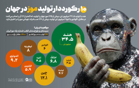 بزرگ‌ترین تولیدکنندگان موز در جهان + جایگاه ایران