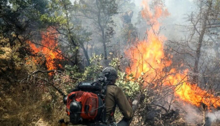 ویدیویی تکان‌دهنده از آتش‌سوزی جنگل‌های گلستان