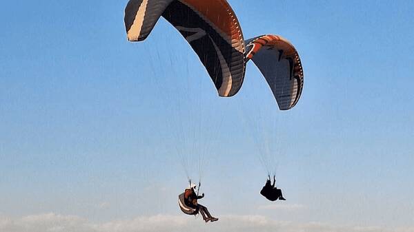 بیانیه سازمان هواپیمایی درباره سانحه برای رضا امیرخانی بیانیه سازمان هواپیمایی درباره سانحه برای رضا امیرخانی