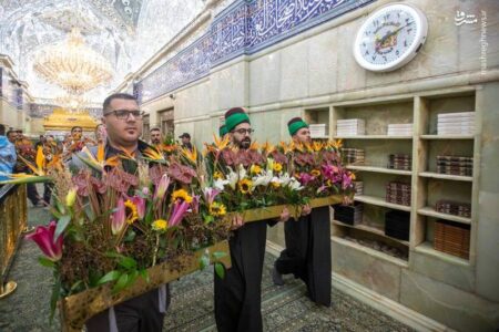 عکس/ گل‌آرایی ضریح نورانی سیدالشهدا برای ولادت مادر سادات