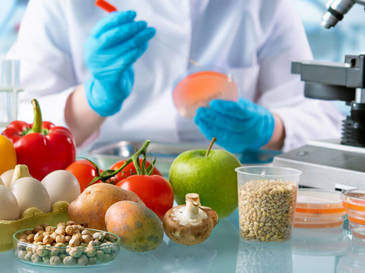 آینده صنایع غذایی ایران در گرو پیوند دانشگاه و صنعت