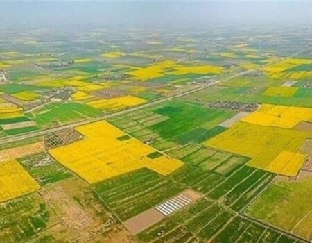 ۷۰ درصد اراضی کشاورزی سنددار شدند