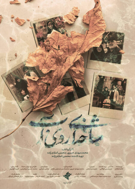 بازخوانی روایت‌های دفاع مقدس ۱۲ روزه  در جشنواره سینما حقیقت/ مستندی درباره یافتن پیکر شهدای جنگ ۱۲ روزه رونمایی شد