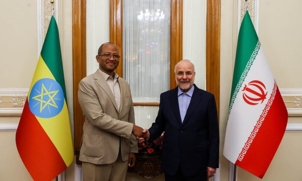 توسعه روابط سیاسی و اقتصادی بین ایران و اتیوپی هدف گذاری شده است توسعه روابط سیاسی و اقتصادی بین ایران و اتیوپی هدف گذاری شده است