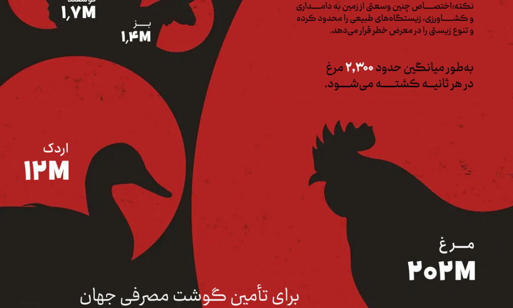 برای تأمین گوشت روزانه چند حیوان کشته می‌شود؟