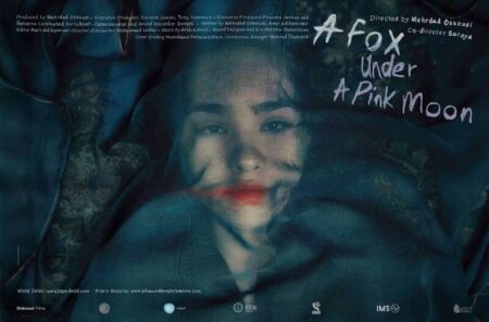 غافلگیری جشنواره «سینماحقیقت» در شبی که ماه صورتی شد