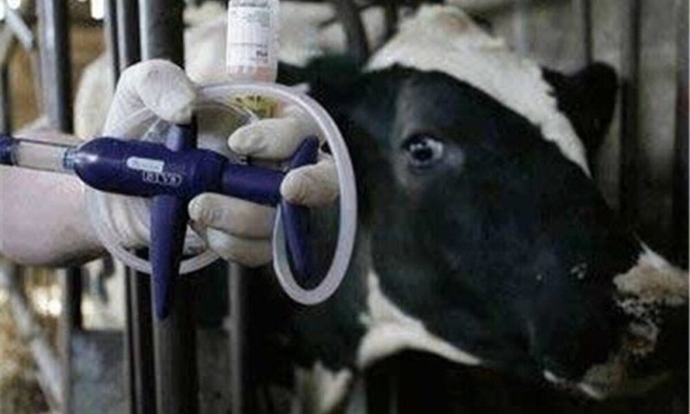 کمیسیون کشاورزی خواستار استمهال ۹ماهه تسهیلات بانکی دامداران خسارت‌دیده از تب برفکی شد