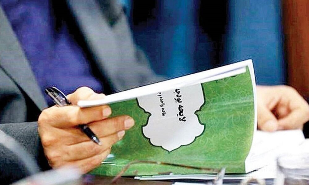 بنگاه‌های خصوصی برای رفع کسری بودجه به میدان بیایند