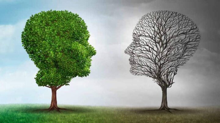 شبکه‌ یکپارچه تیم‌های تخصصی بازتوانی روانی اجتماعی بحران در پایتخت تشکیل می‌شود