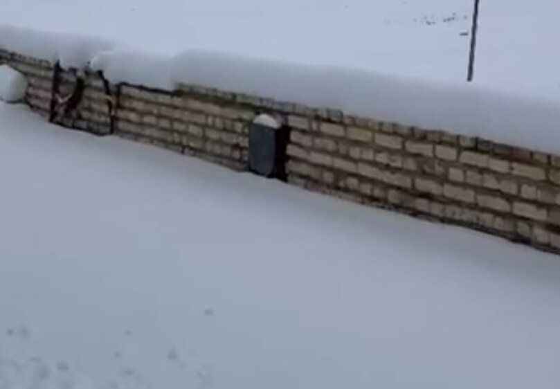 ارتفاع برف در این منطقه به ۵۰سانتی‌ متر رسید