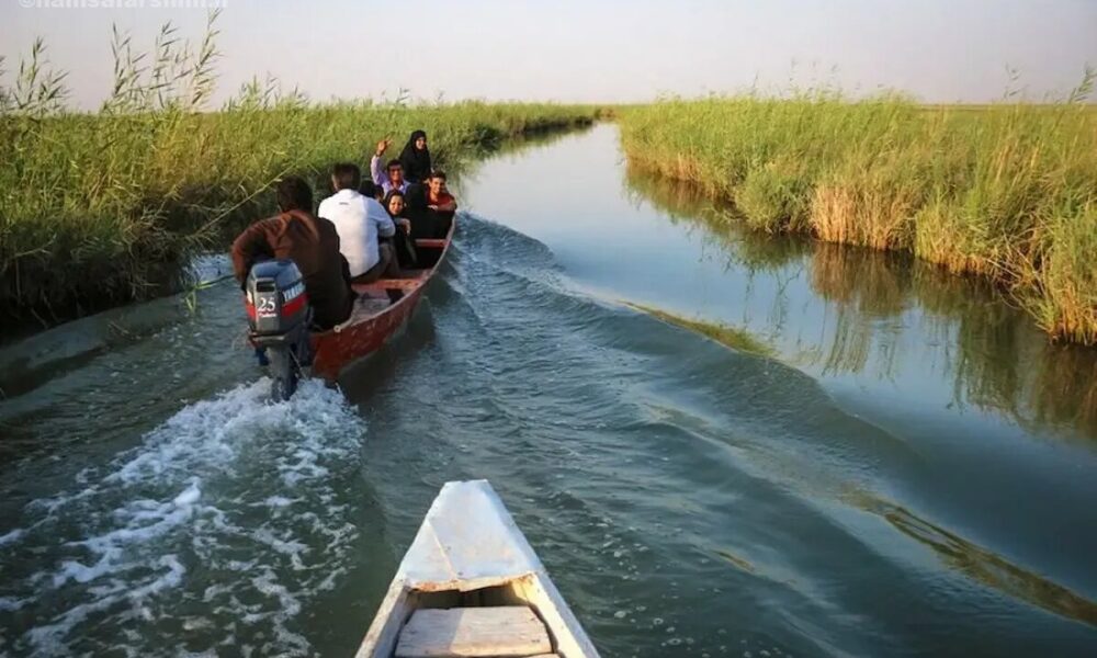 «شهر نی» نماد گردشگری پایدار در تالاب بین‌المللی شادگان می شود