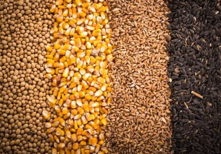 نیاز ماهانه یک میلیون تن نهاده دامی تأمین شد