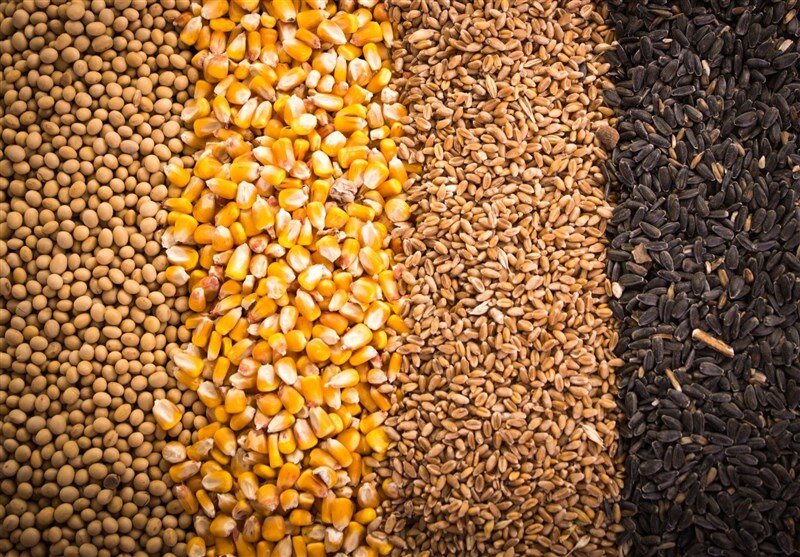 نیاز ماهانه یک میلیون تن نهاده دامی تأمین شد