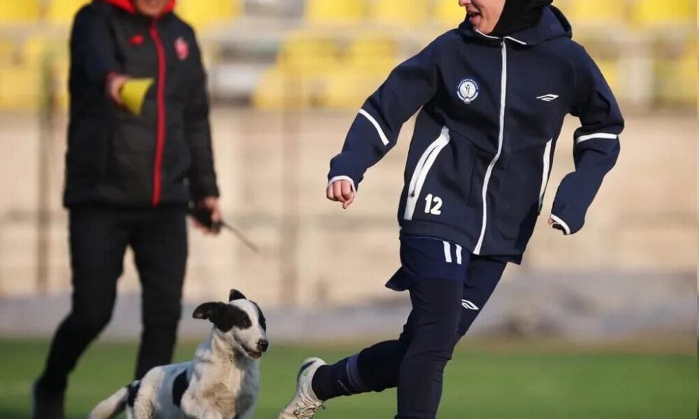 ورود سگ به بازی دختران پرسپولیس و گل‌گهر دردسر شد! +عکس