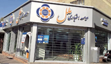 سخنگوی قوه قضاییه بازداشت مدیرعامل سابق موسسه ملل را تایید کرد