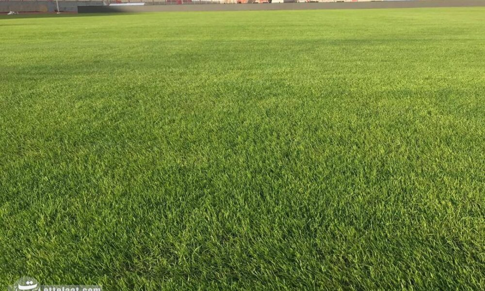 مشکل ورزشگاه جدیدالاحداث مشهد چیست؟