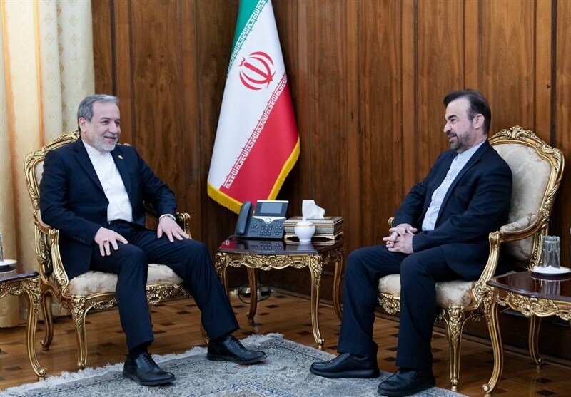 تاکید عراقچی بر پیگیری حقوق ایران در سازمان‌های بین‌المللی