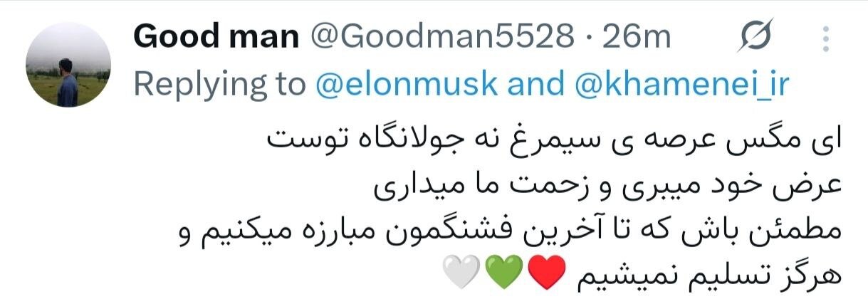 یاوه‌گویی ایلان ماسک، محصول همنشینی با دیوانگان